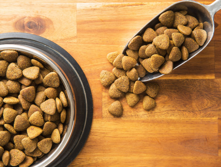 $City Animal Nutritionists